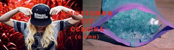 стаф Нея
