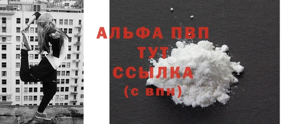 стаф Нея