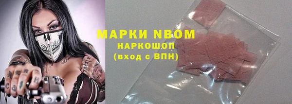 стаф Нея