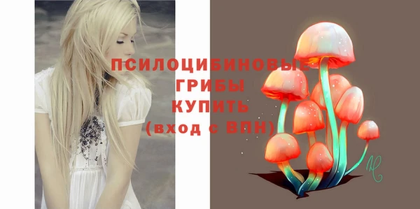 стаф Нея