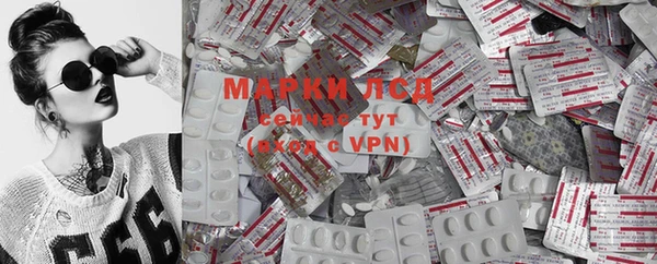 стаф Нея