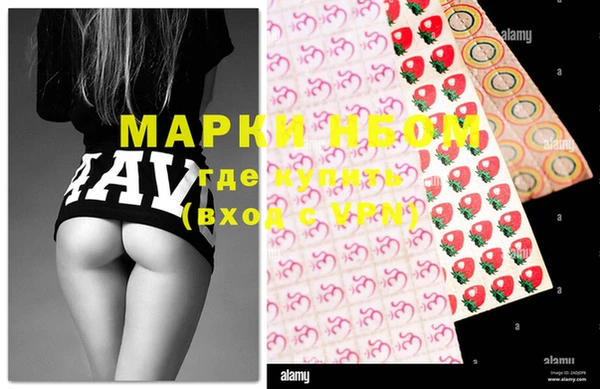 стаф Нея