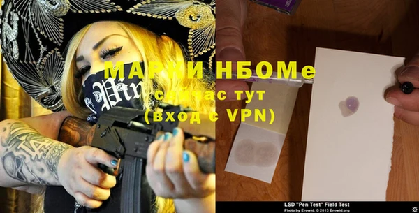 стаф Нея