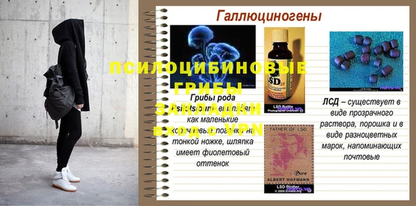стаф Нея