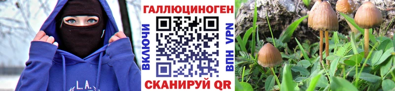 Галлюциногенные грибы ЛСД  Купить  Салаир 